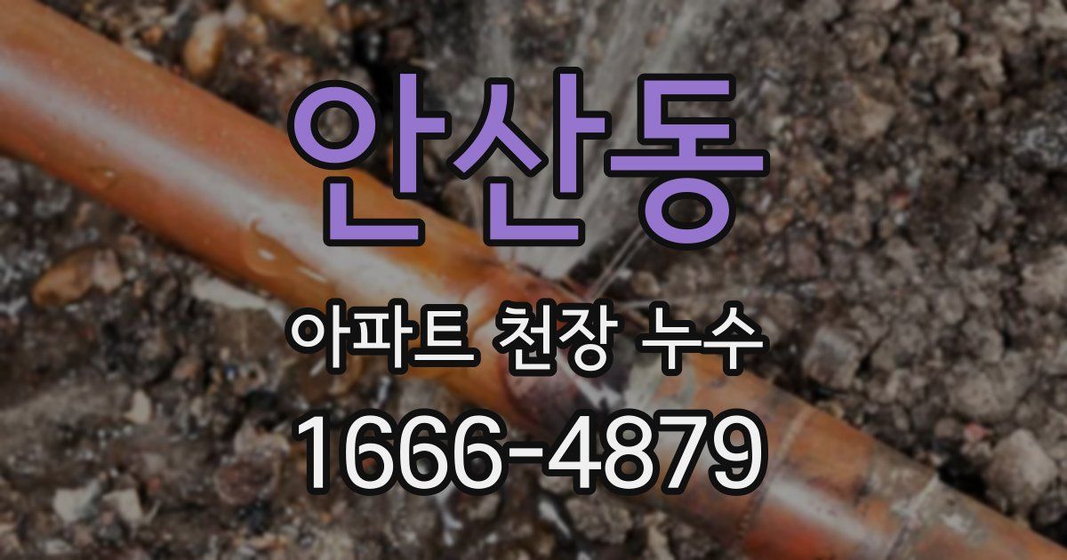 안산동 아파트 천장 누수