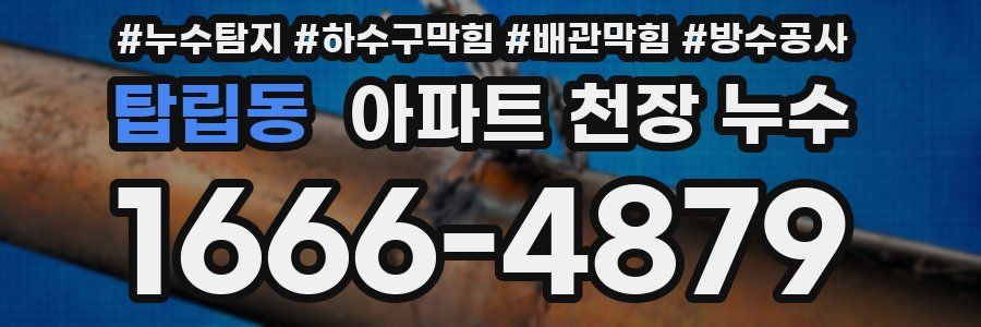 탑립동 아파트 천장 누수