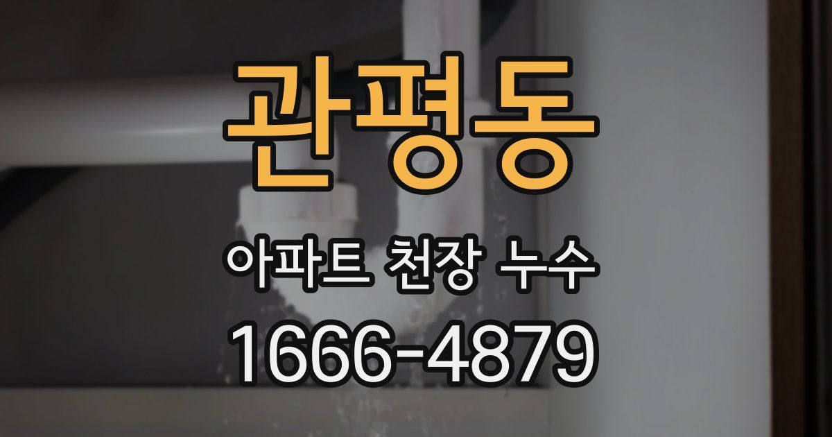 관평동 아파트 천장 누수
