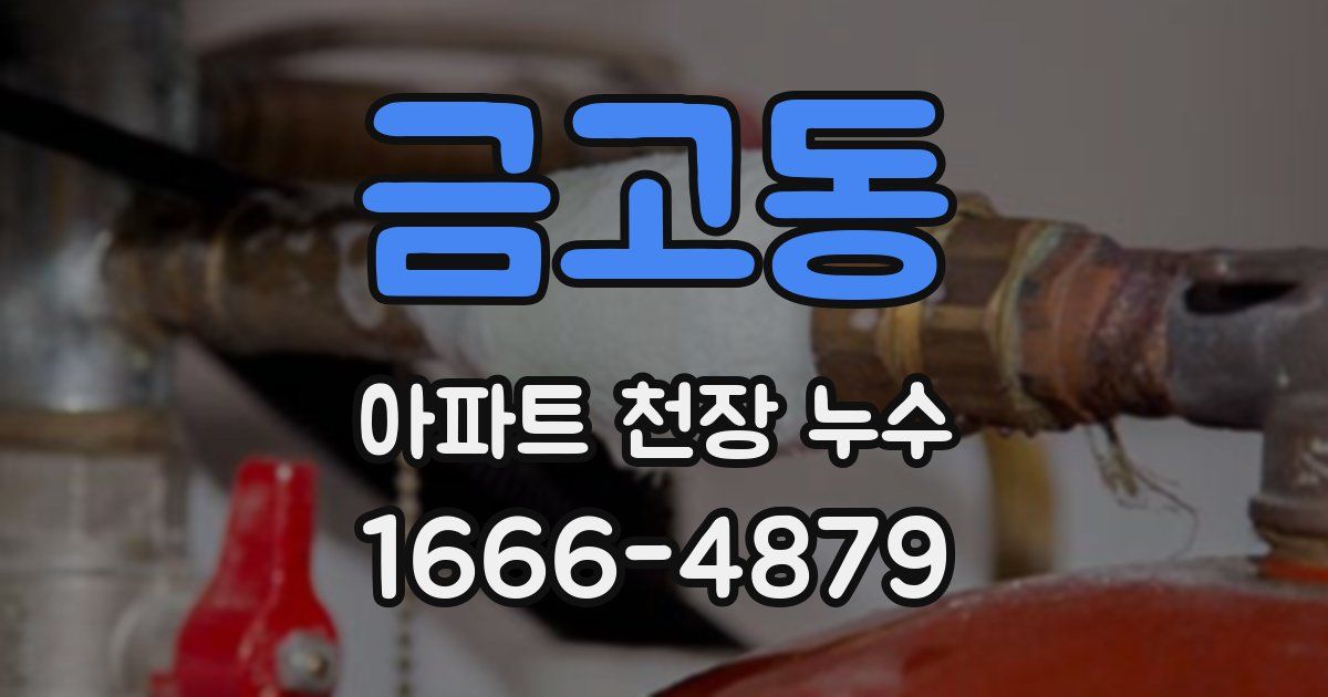 금고동 아파트 천장 누수