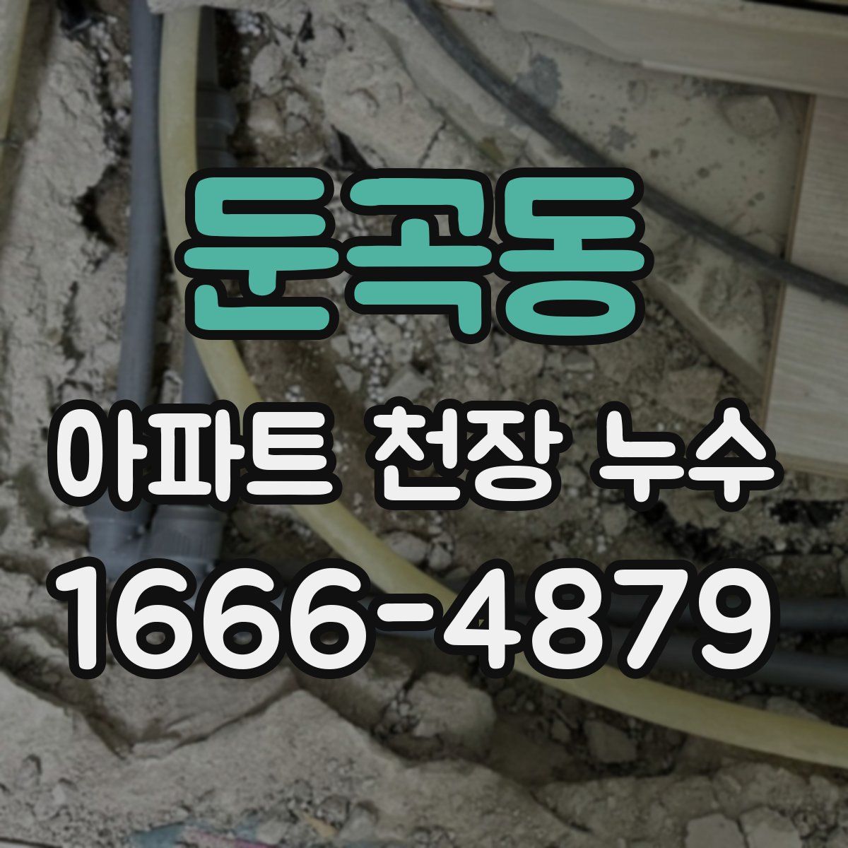 둔곡동 아파트 천장 누수