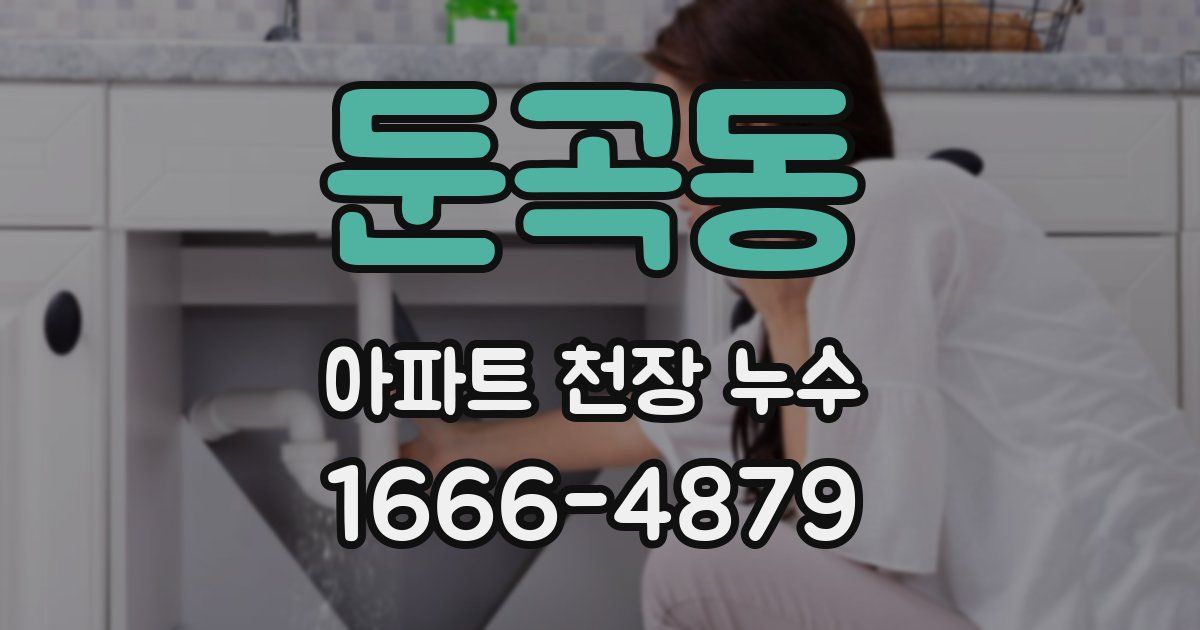 둔곡동 아파트 천장 누수
