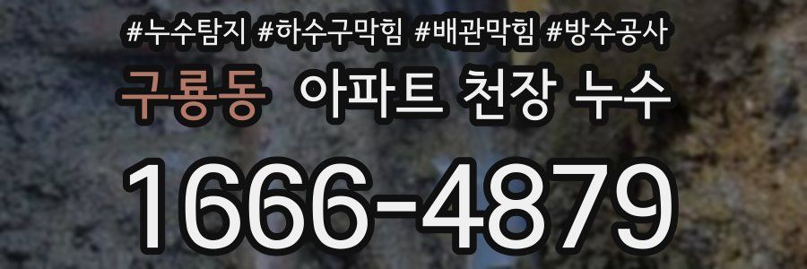 구룡동 아파트 천장 누수