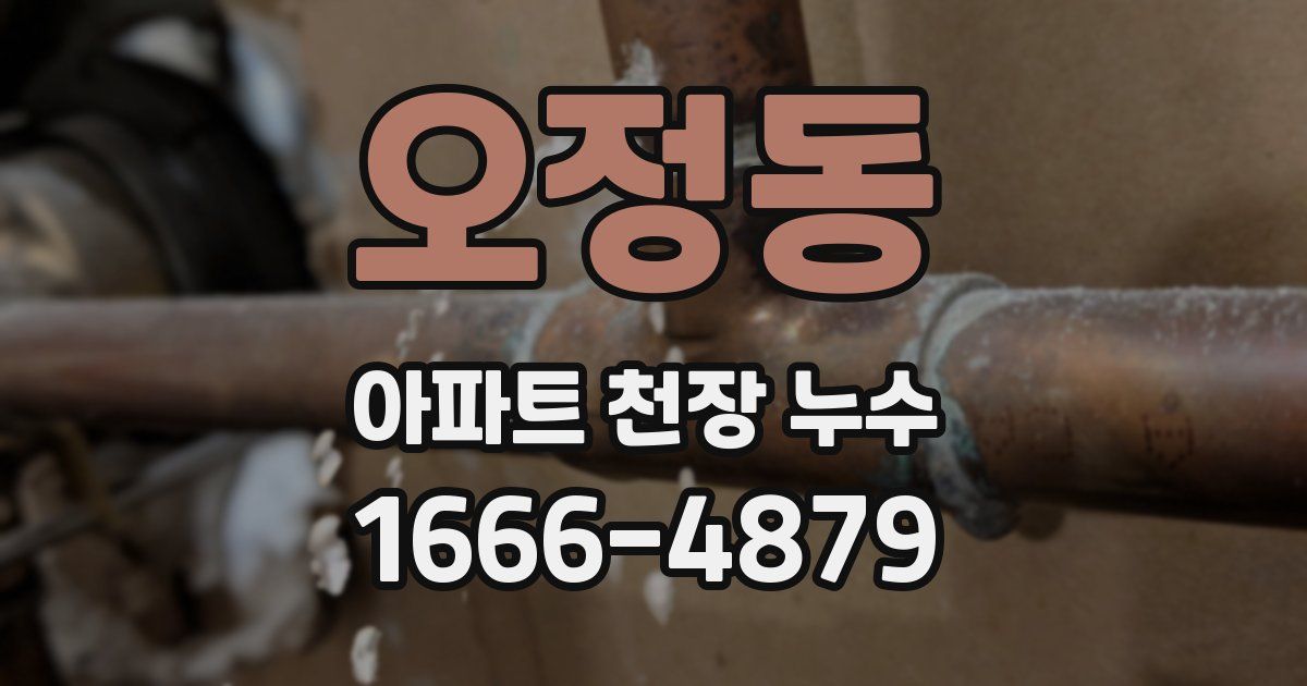오정동 아파트 천장 누수