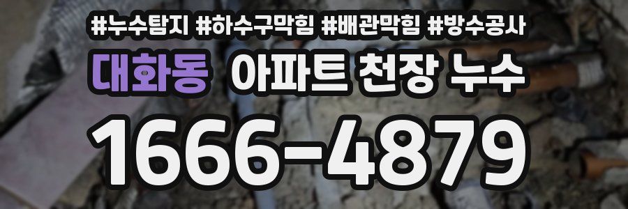 대화동 아파트 천장 누수