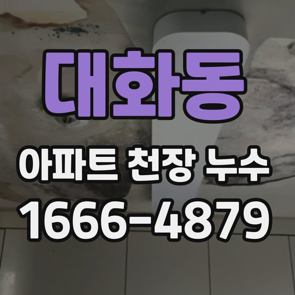 대화동 아파트 천장 누수