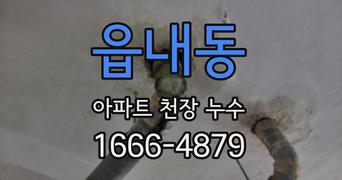 읍내동 아파트 천장 누수