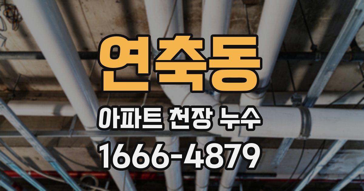 연축동 아파트 천장 누수