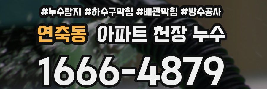 연축동 아파트 천장 누수