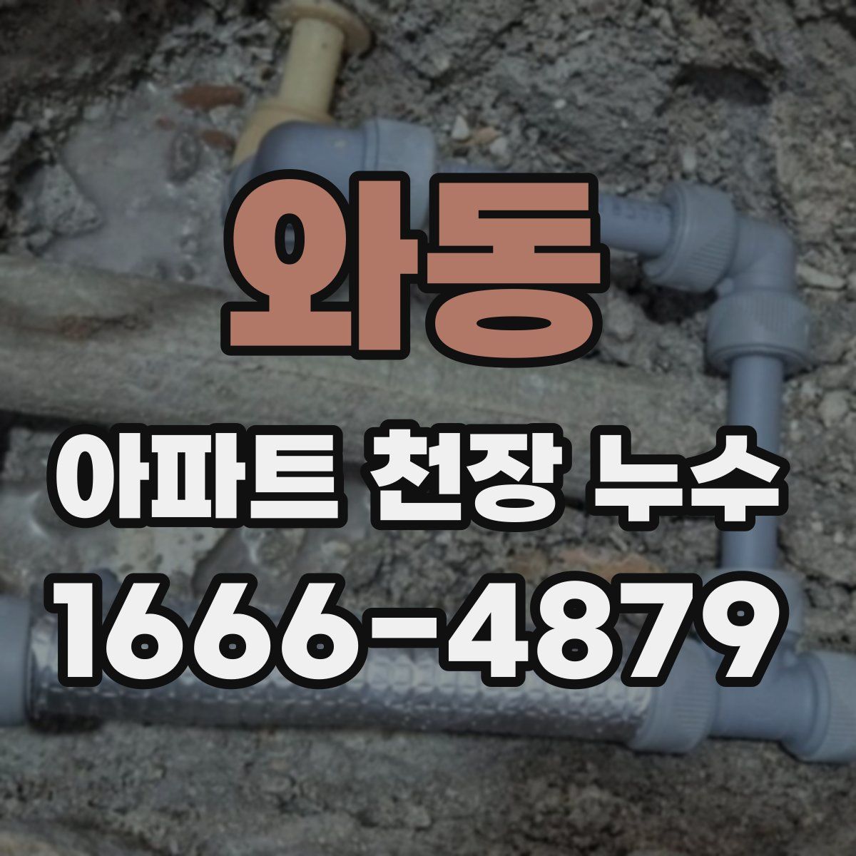 와동 아파트 천장 누수