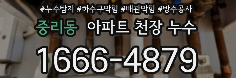 중리동 아파트 천장 누수