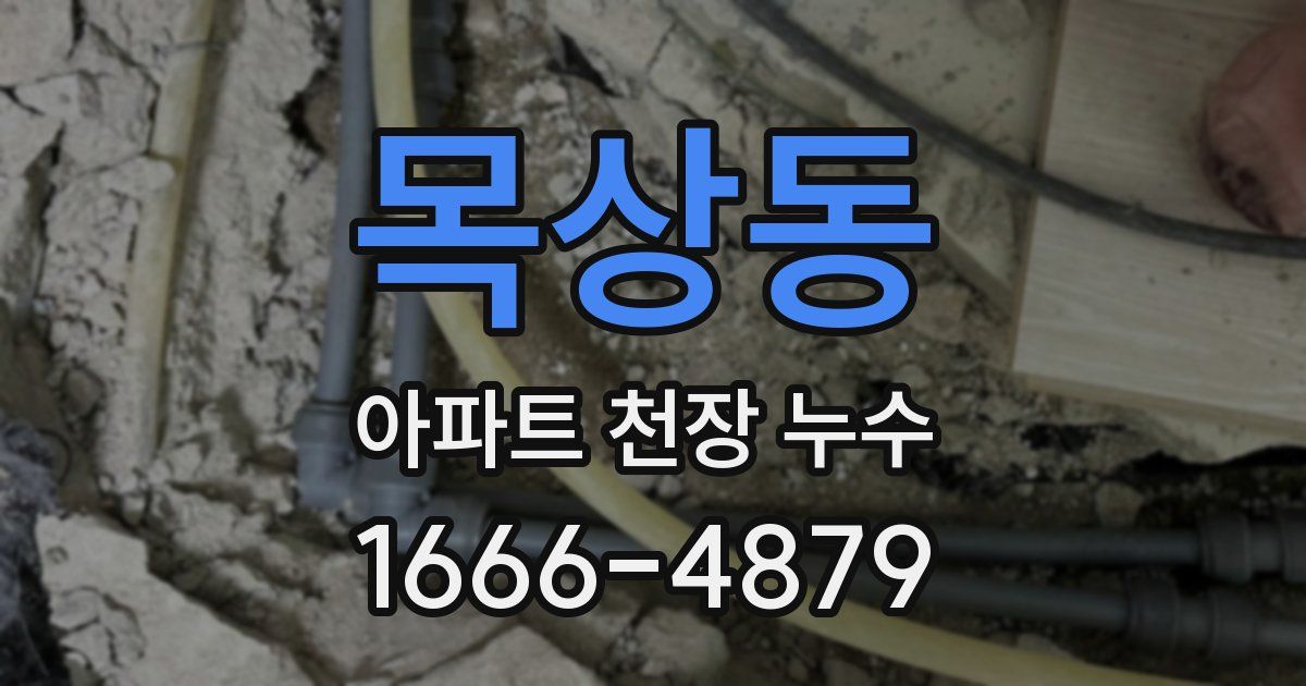 목상동 아파트 천장 누수