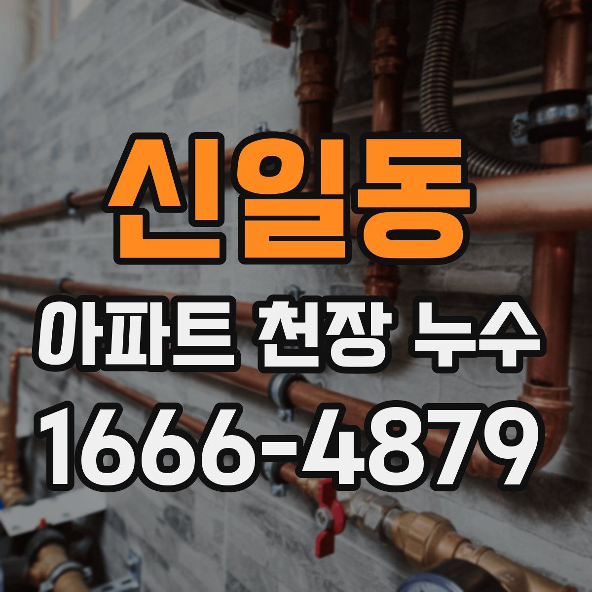 신일동 아파트 천장 누수