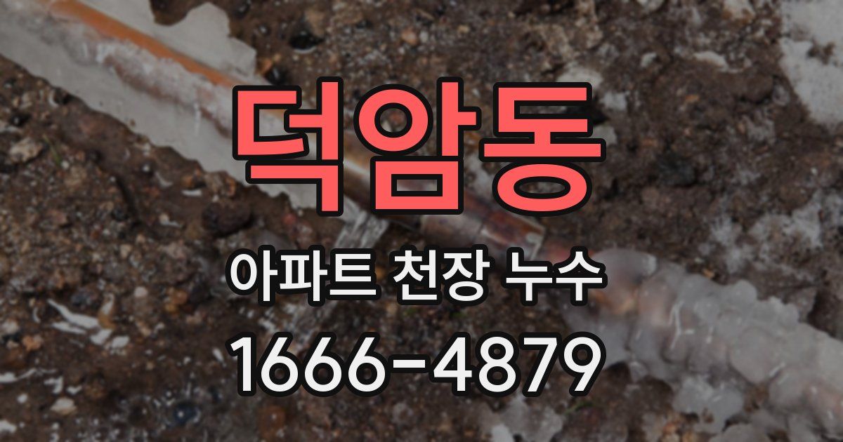 덕암동 아파트 천장 누수