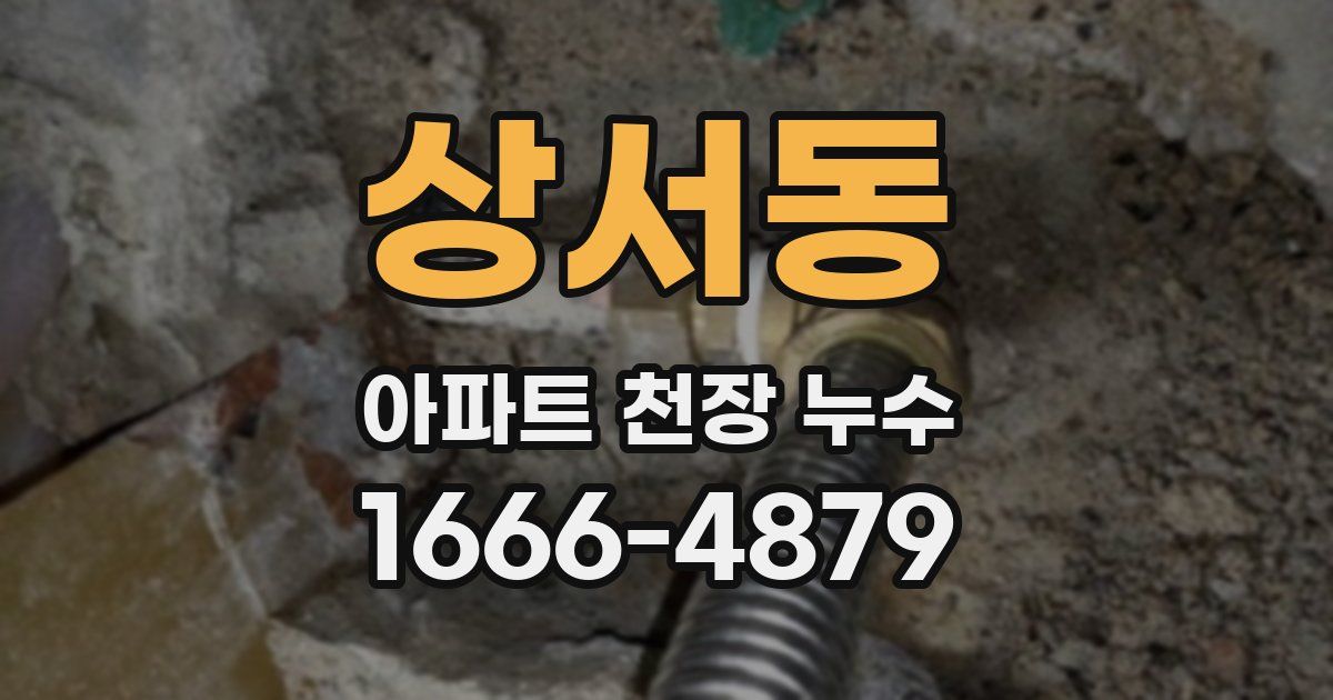 상서동 아파트 천장 누수