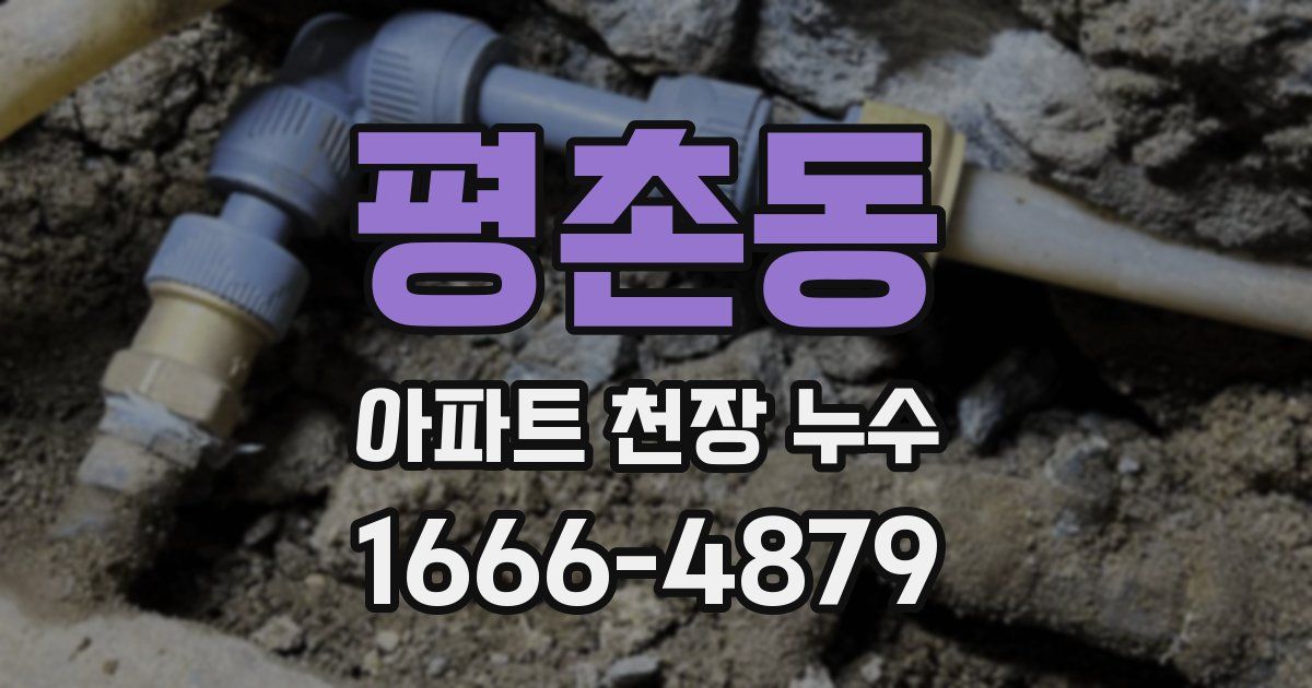 평촌동 아파트 천장 누수