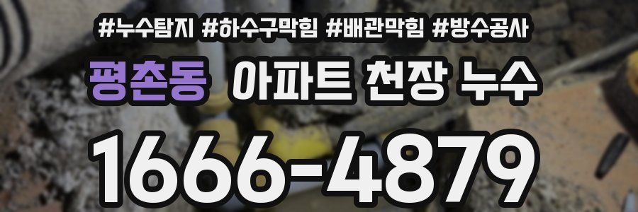 평촌동 아파트 천장 누수