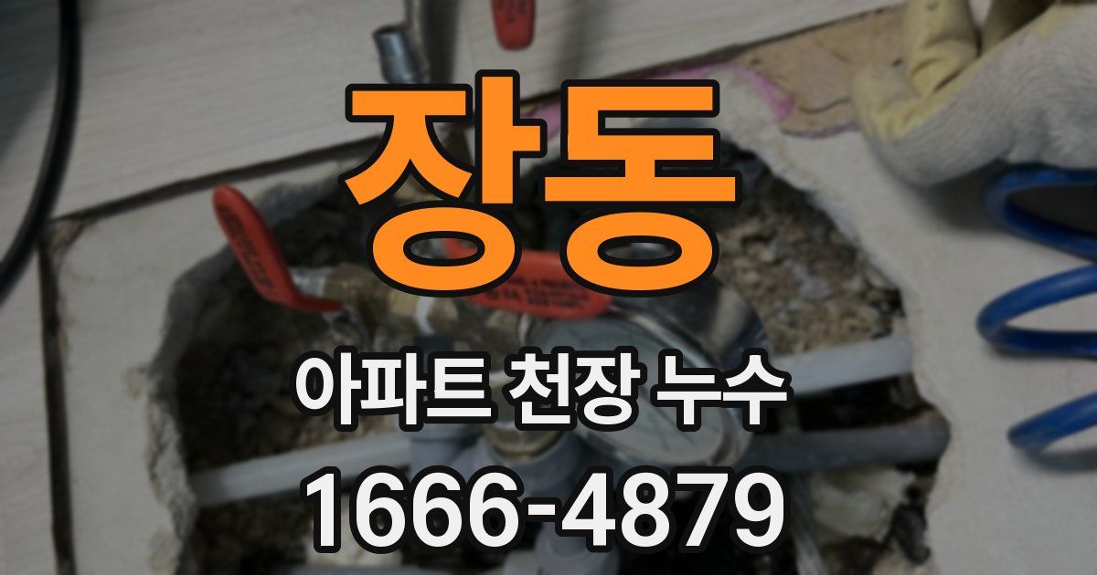 장동 아파트 천장 누수