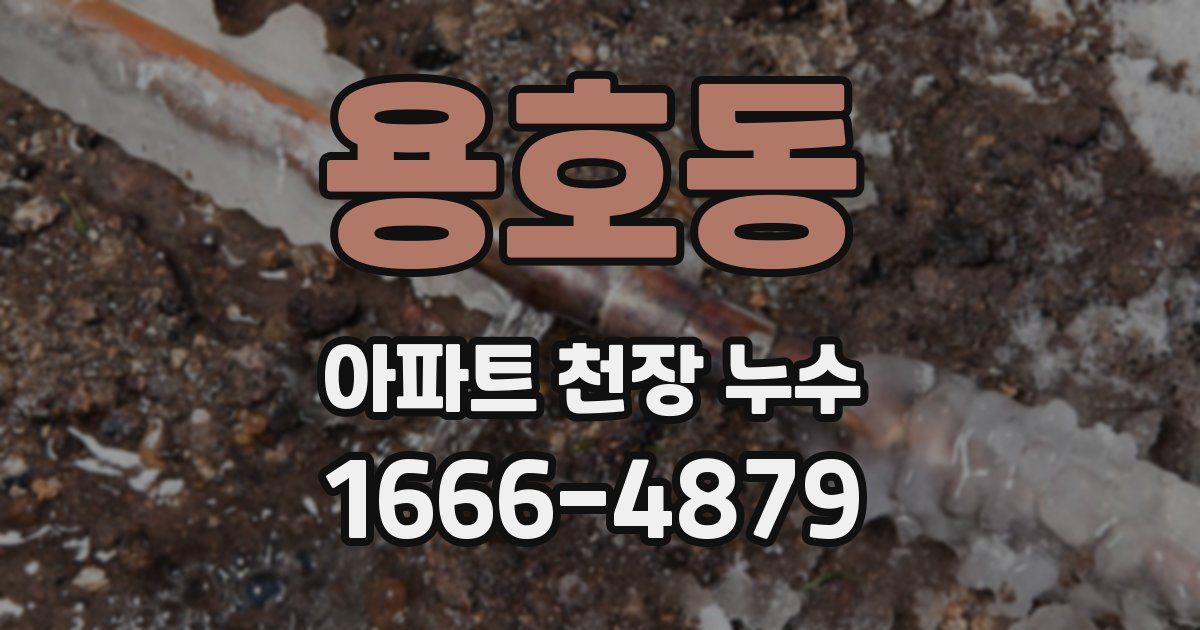 용호동 아파트 천장 누수