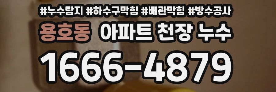용호동 아파트 천장 누수