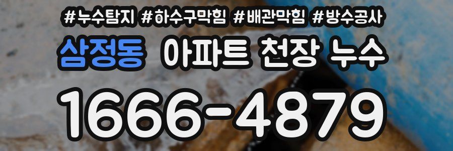 삼정동 아파트 천장 누수