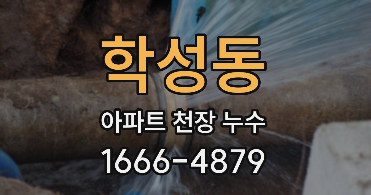 학성동 아파트 천장 누수