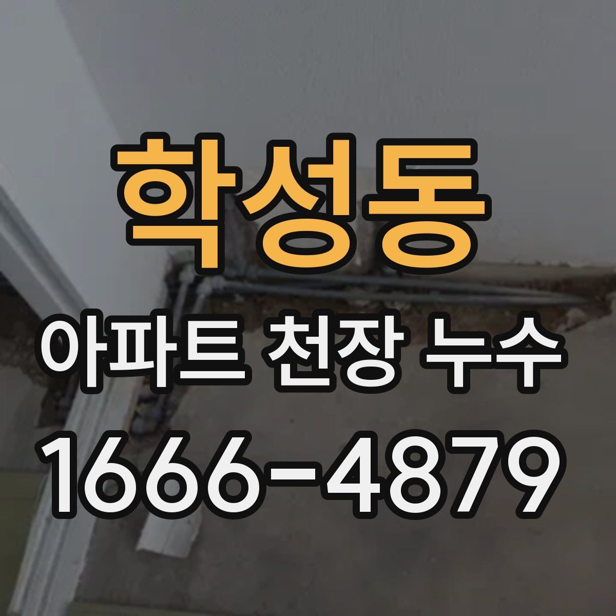 학성동 아파트 천장 누수