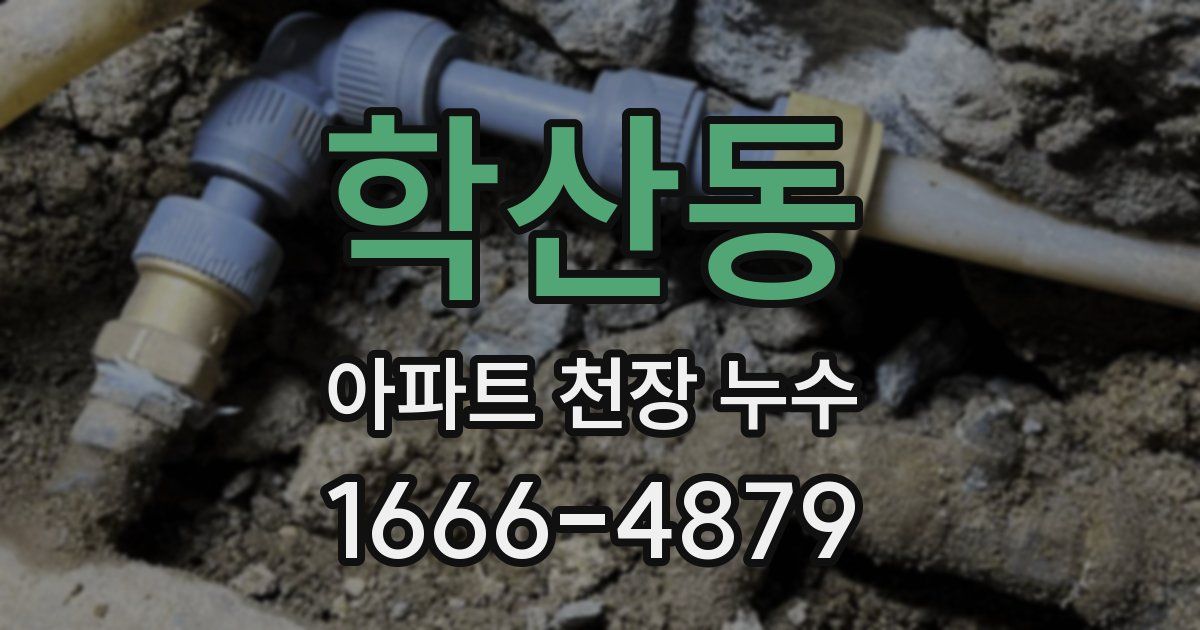 학산동 아파트 천장 누수