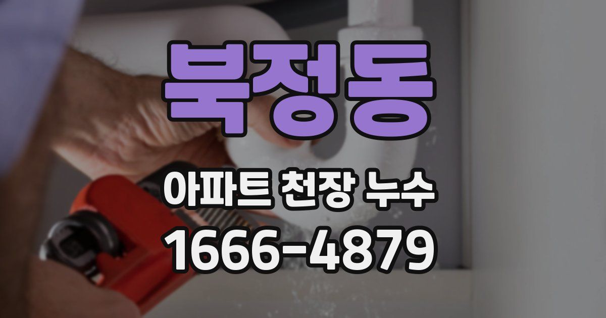 북정동 아파트 천장 누수