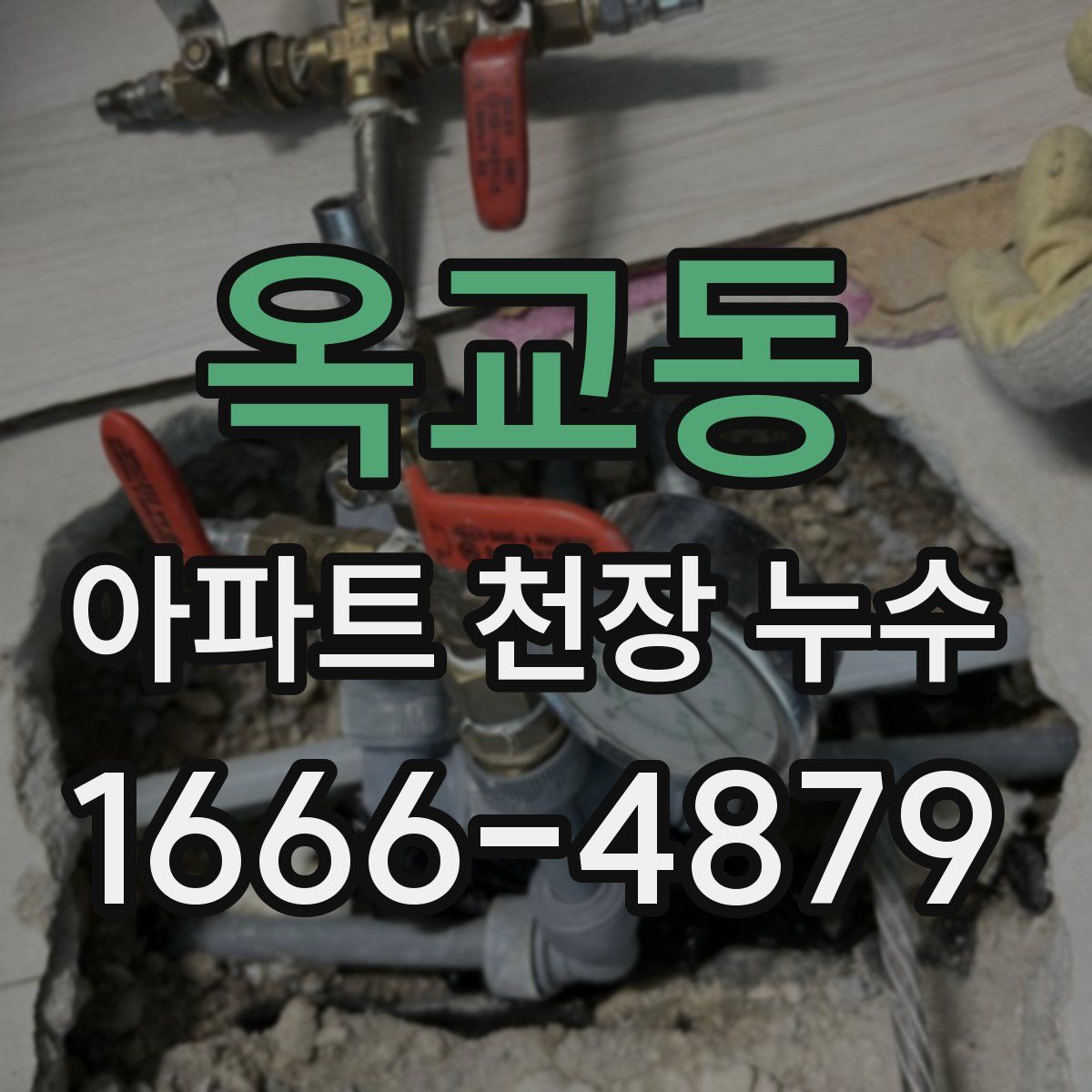 옥교동 아파트 천장 누수