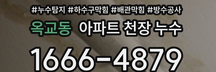 옥교동 아파트 천장 누수