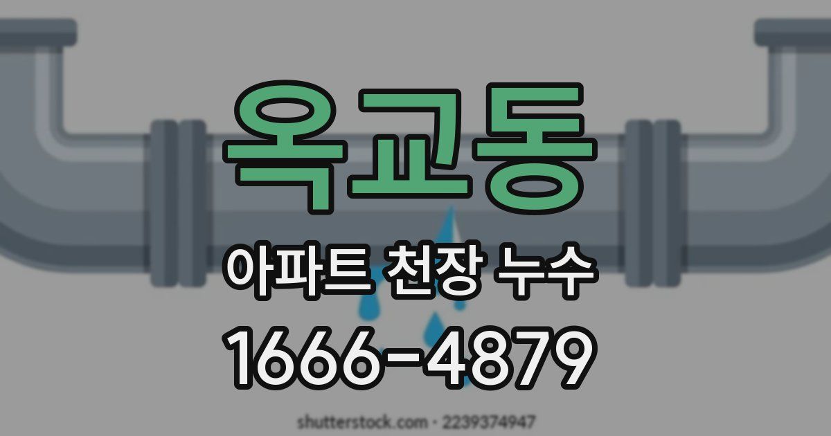 옥교동 아파트 천장 누수