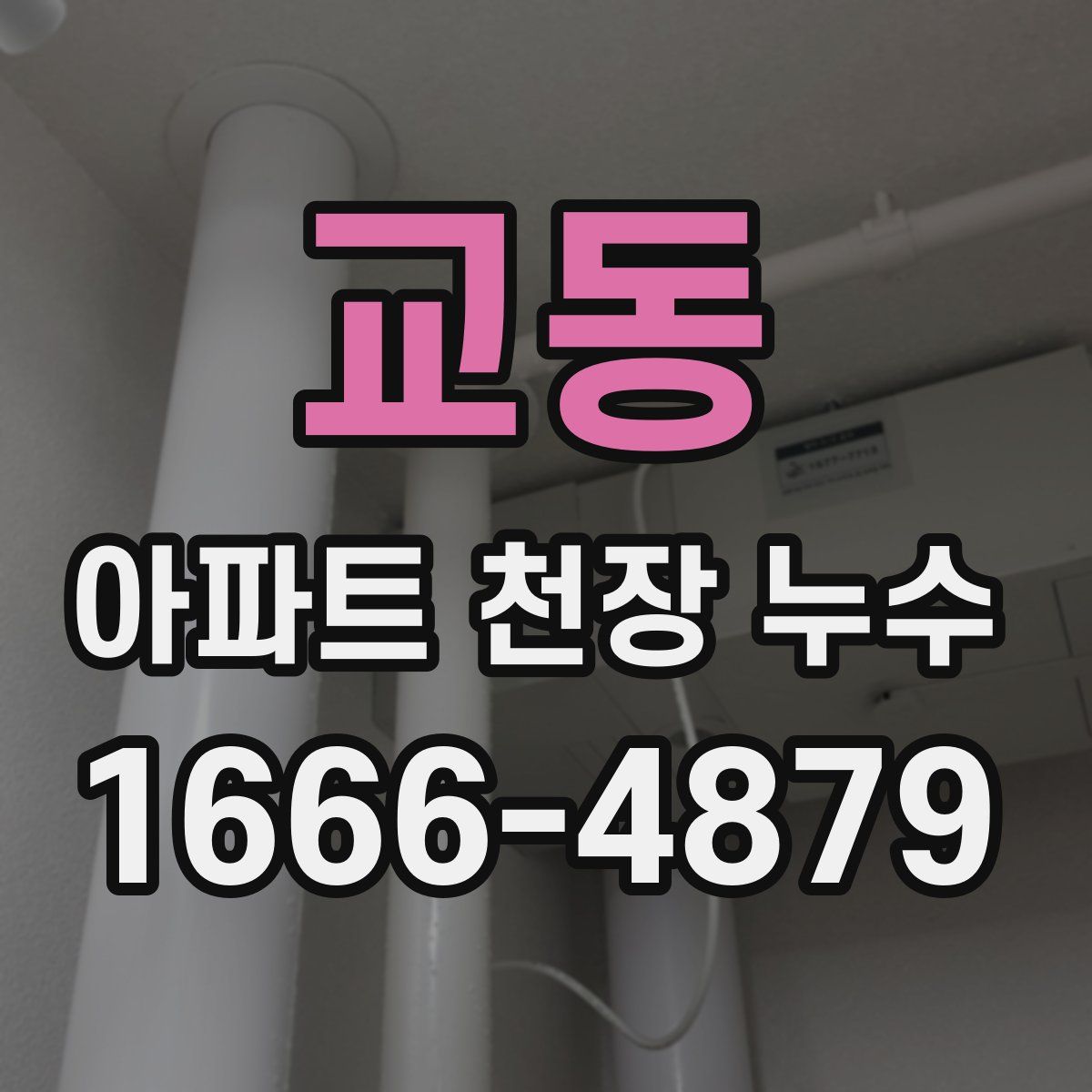 교동 아파트 천장 누수