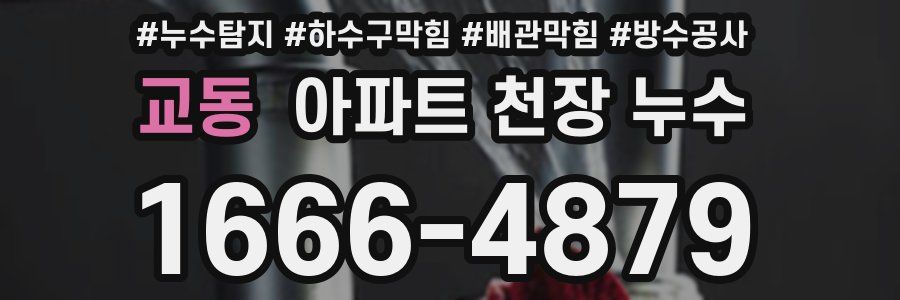 교동 아파트 천장 누수