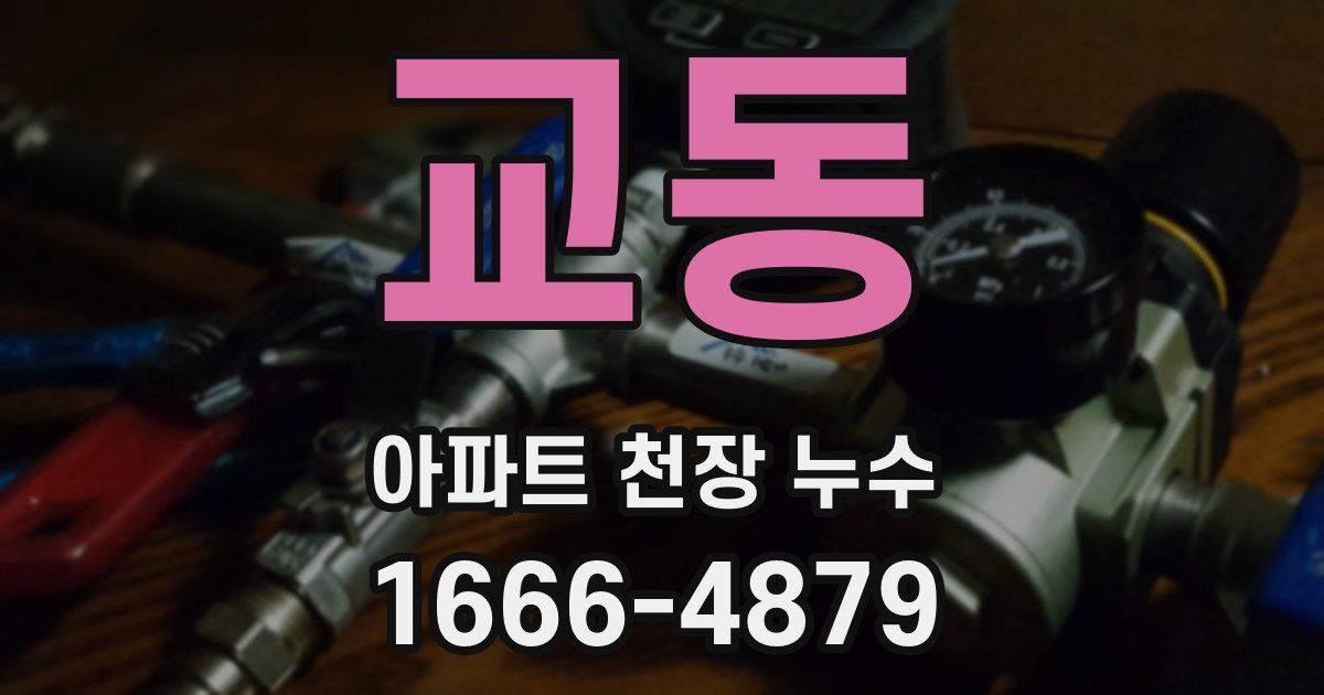 교동 아파트 천장 누수