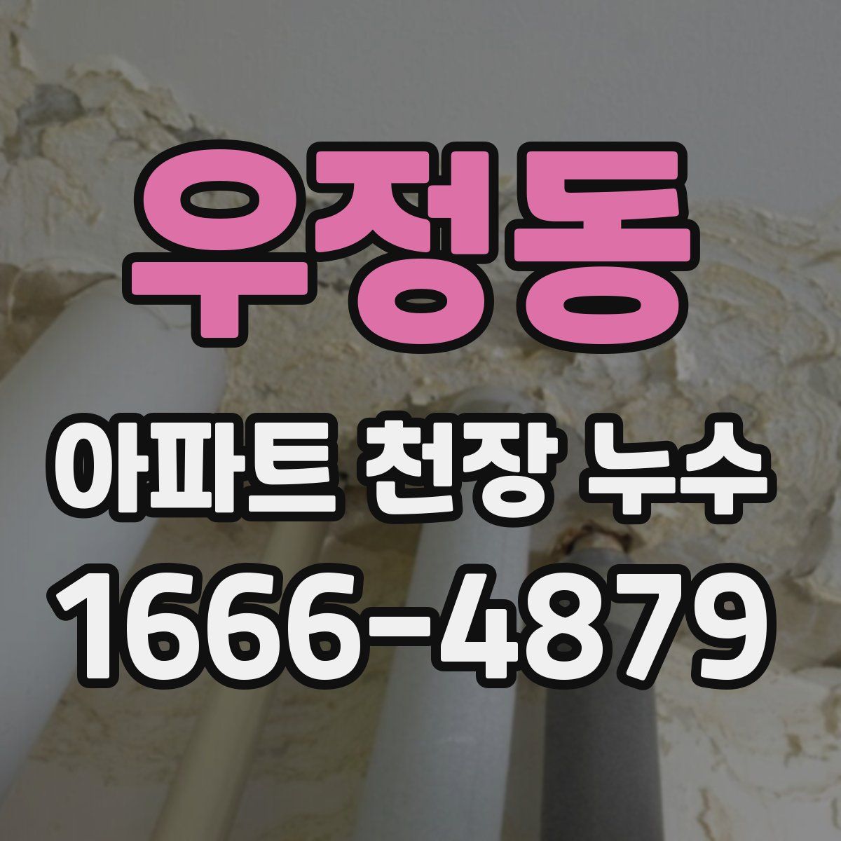 우정동 아파트 천장 누수
