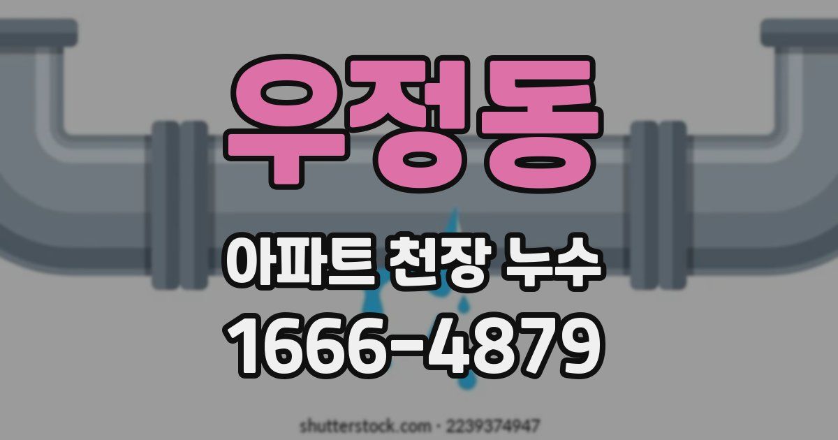 우정동 아파트 천장 누수