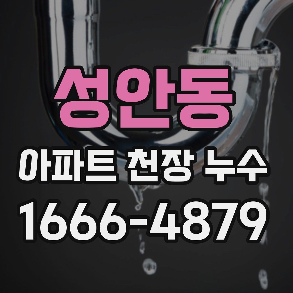성안동 아파트 천장 누수