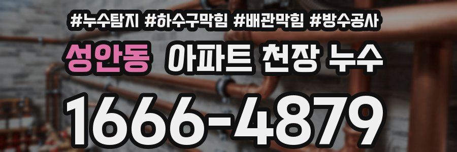 성안동 아파트 천장 누수