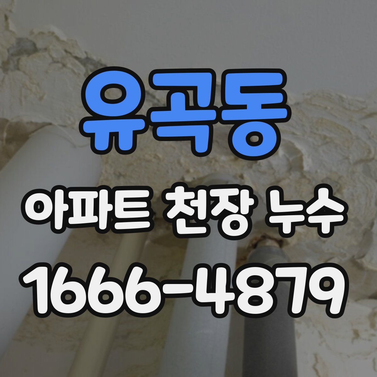 유곡동 아파트 천장 누수
