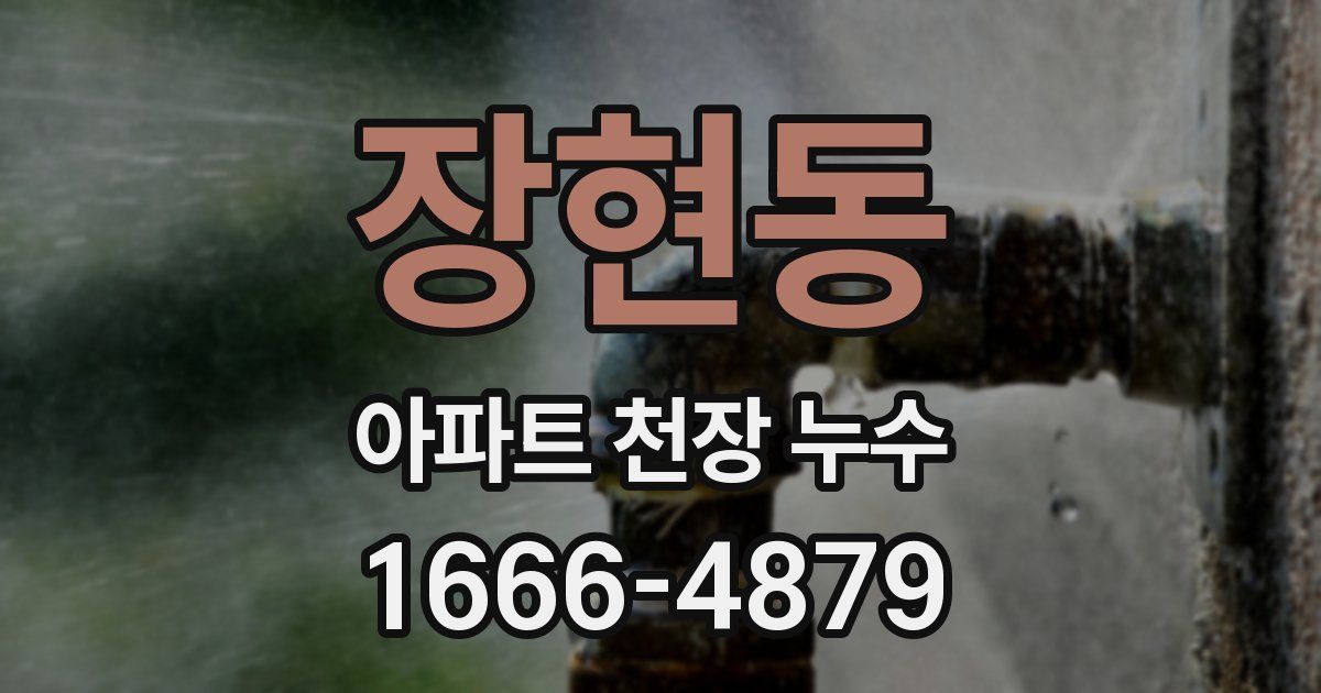 장현동 아파트 천장 누수