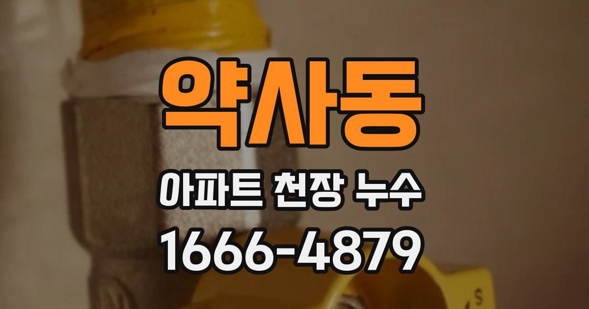 약사동 아파트 천장 누수