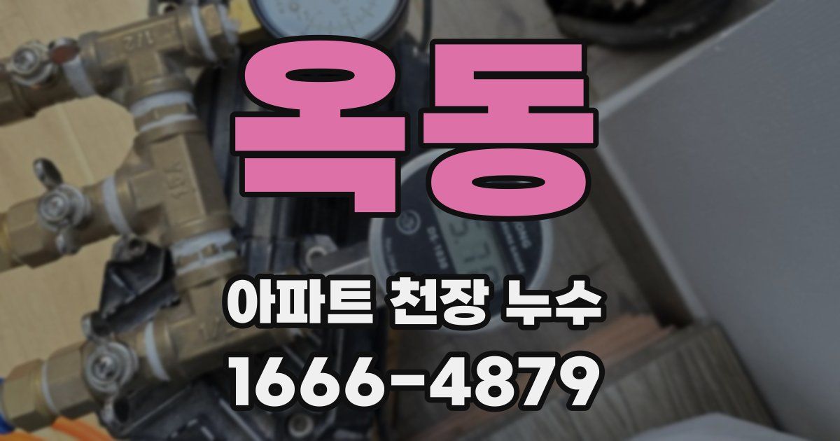 옥동 아파트 천장 누수