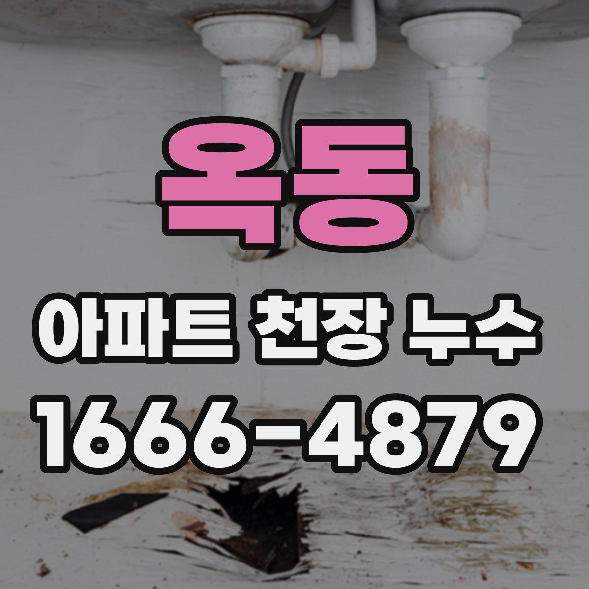 옥동 아파트 천장 누수