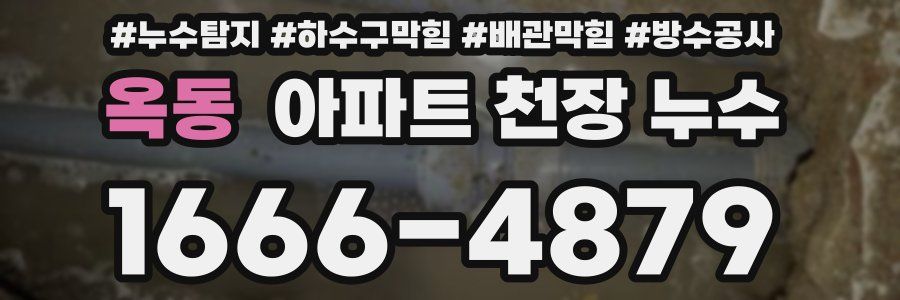 옥동 아파트 천장 누수