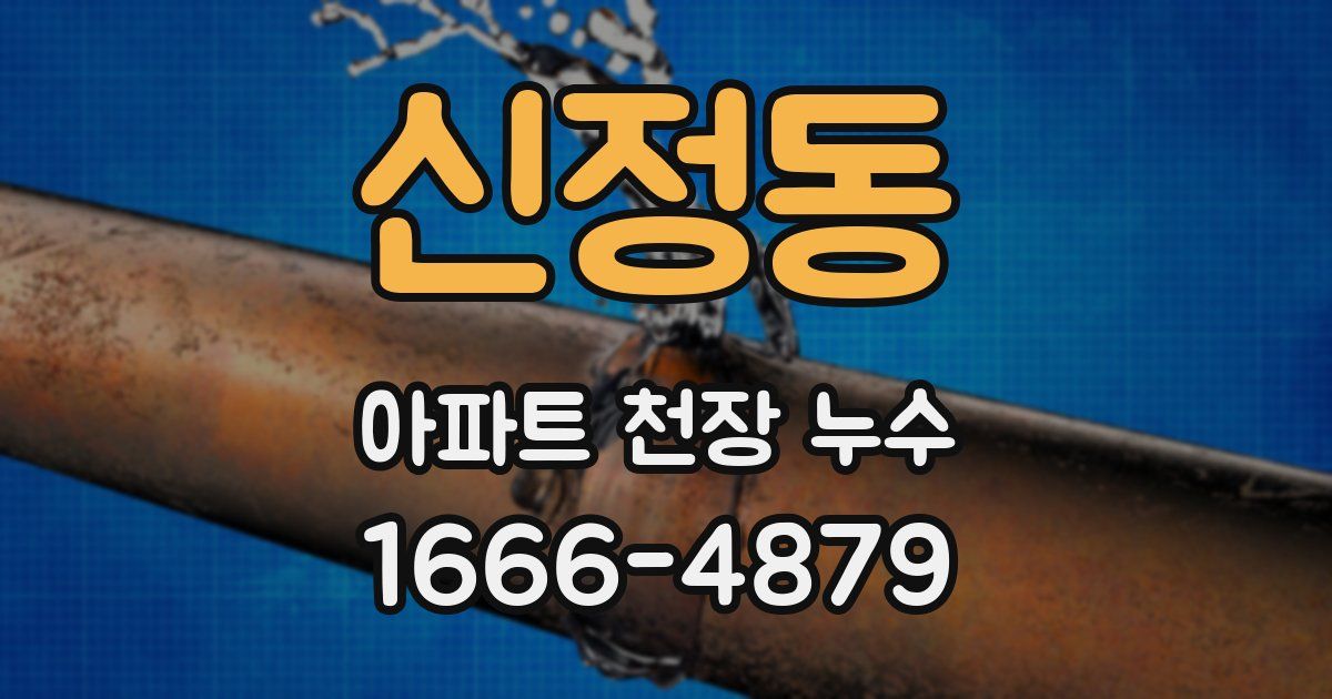 신정동 아파트 천장 누수