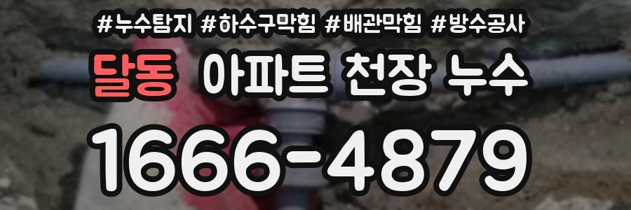 달동 아파트 천장 누수