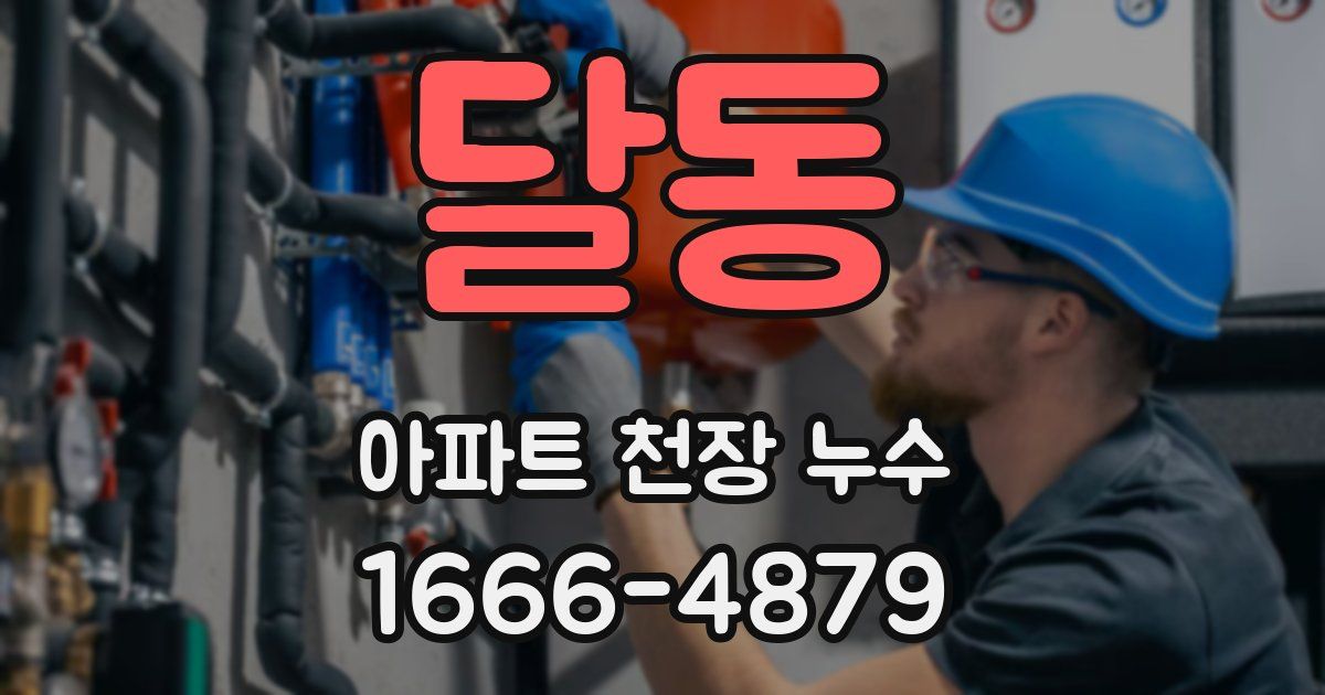 달동 아파트 천장 누수