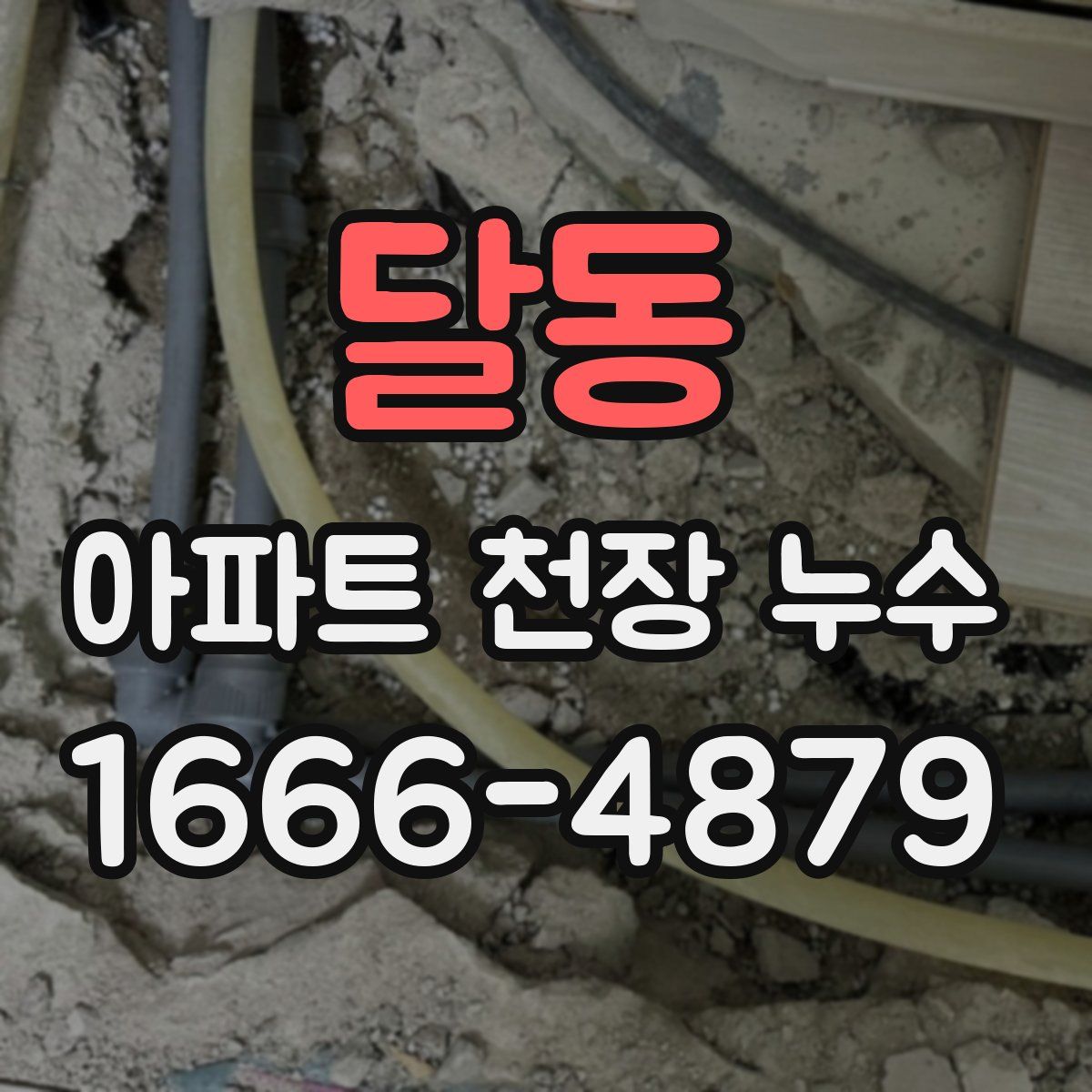 달동 아파트 천장 누수