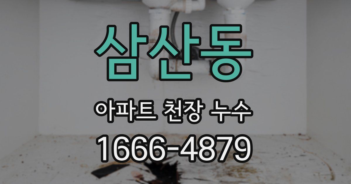 삼산동 아파트 천장 누수